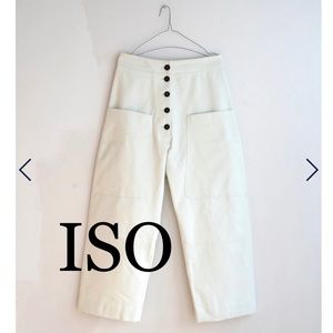 In search of!! Studio Nicholson Brinson pants